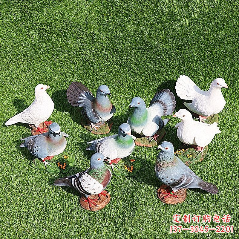 丽水和平鸽毕加索激发的美好灵感