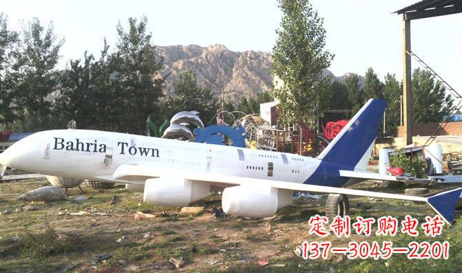 丽水静静躺在大地上的不锈钢飞机雕塑