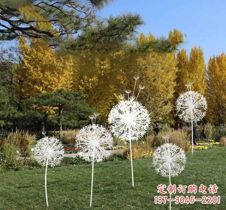 丽水不锈钢蒲公英景观雕塑艺术与美的完美结合