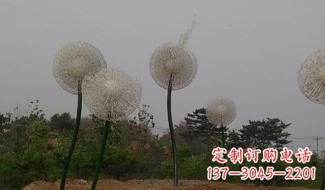 丽水蒲公英的绚丽多彩