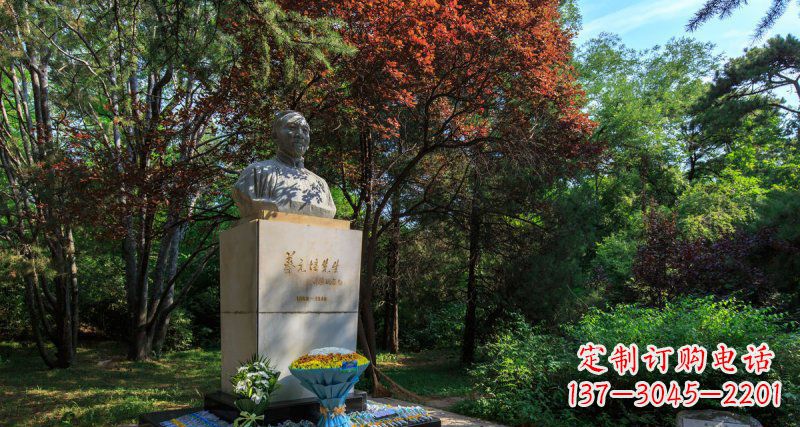 丽水精致无缝蔡元培胸像石雕