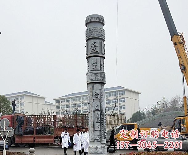 丽水广场景观大理石龙柱石雕 (7)