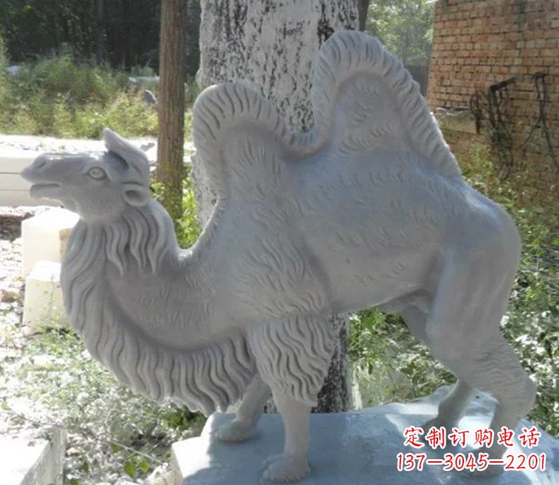 丽水汉白玉骆驼雕,融入古朴奢华