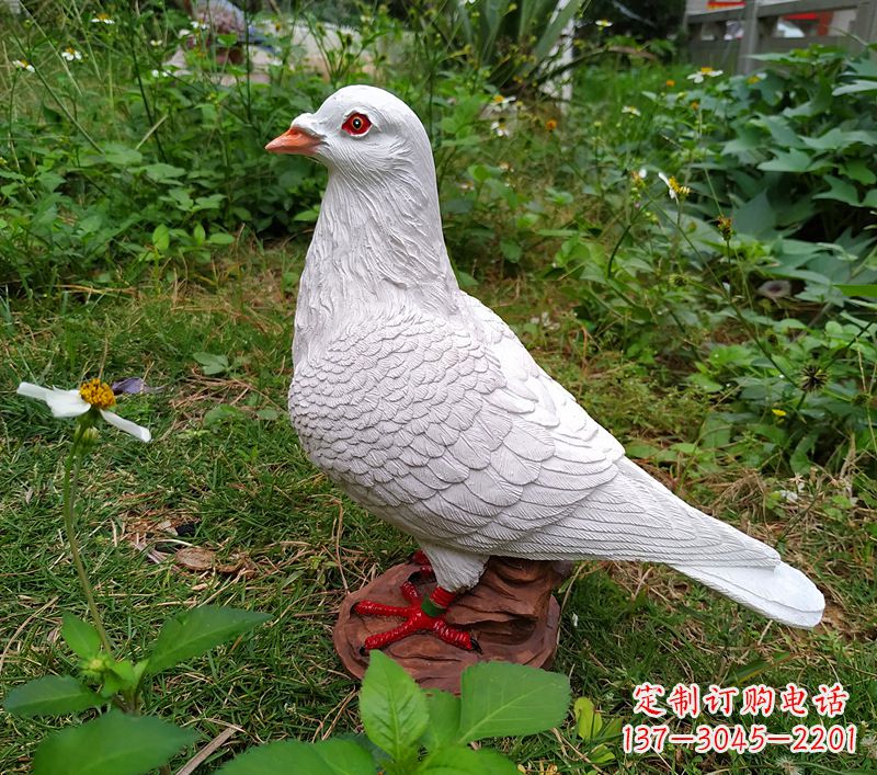 丽水为和平献芳礼：精美少女与和平鸽雕塑