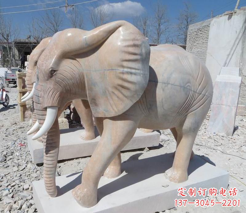丽水晚霞红卷鼻大象